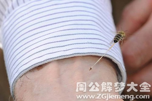 梦见蜂群蜇自己