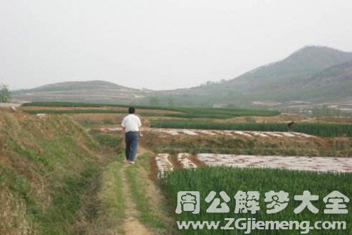 梦见姐夫回老家