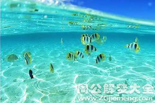 梦见在水里捕鱼