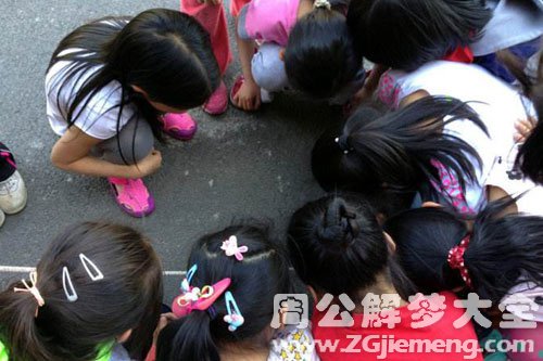 梦见打死蚰蜒
