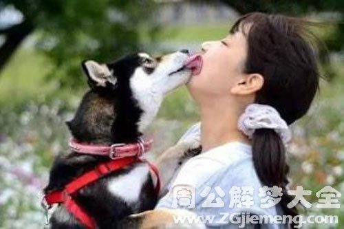 梦见被狗缠住