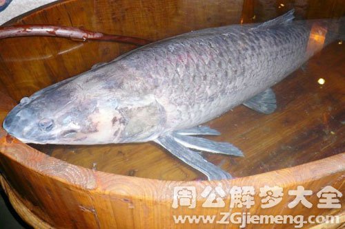 鱼王