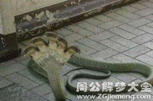 蛇有三个头