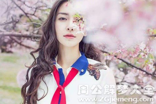 杨颖