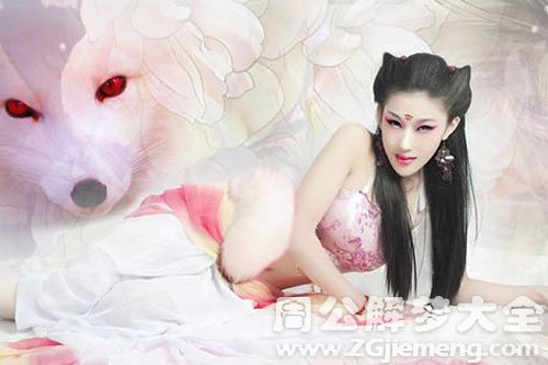 梦见白色九尾狐