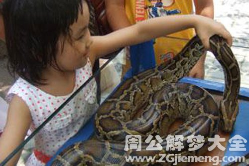 摸蛇