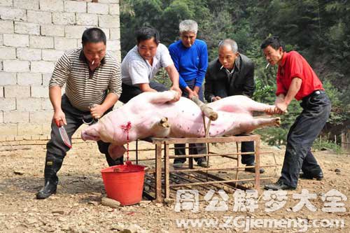 梦见杀大肥猪