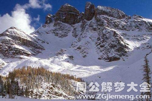 梦见山上有蛇