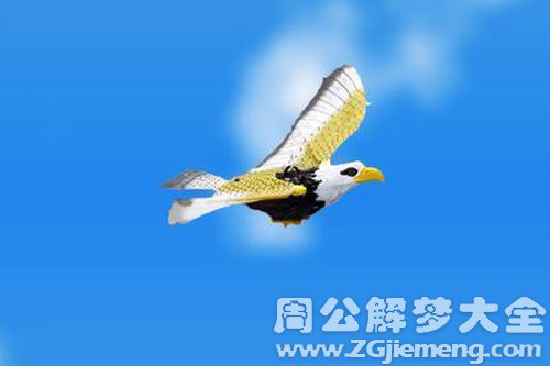梦见打死老鹰