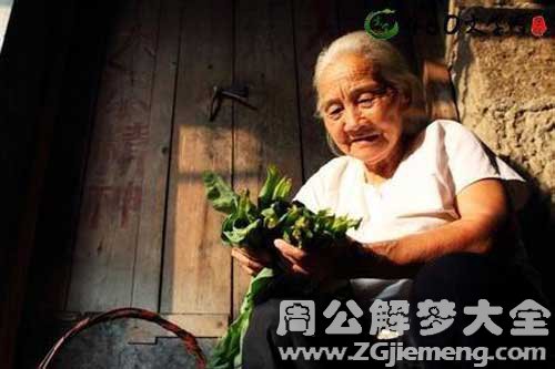 梦见奶奶在干活