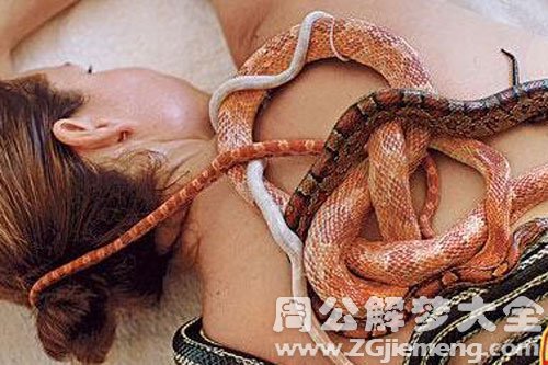蛇