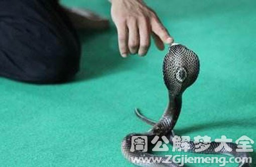 梦见三条蛇咬自己
