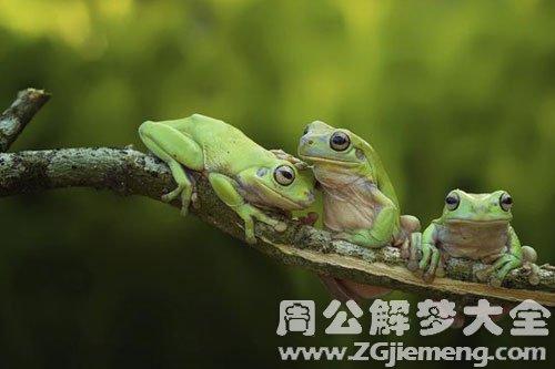 三只青蛙