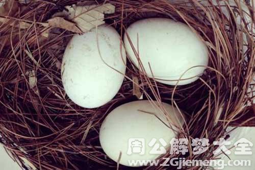 梦见两个鹅蛋