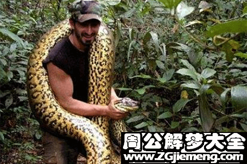 梦见活吞蛇