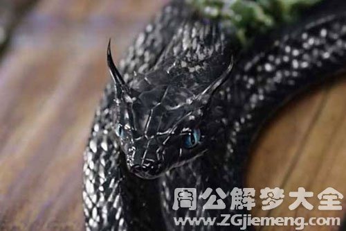 黑蛇