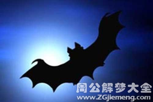 梦见被蝙蝠咬了