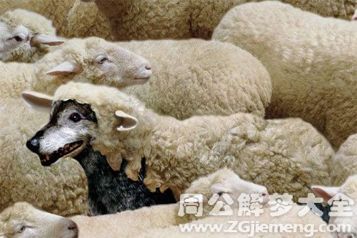 狼羊