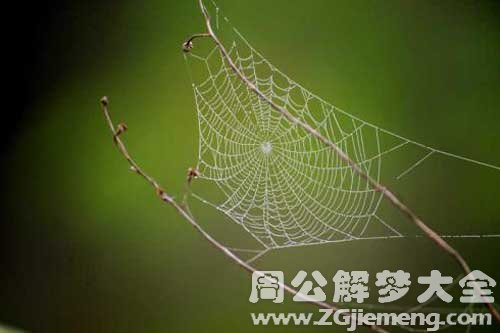 梦见扫蜘蛛网