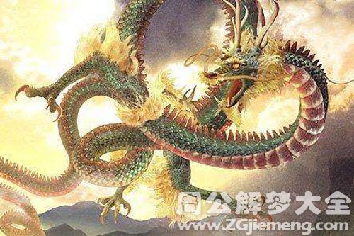 龙受伤