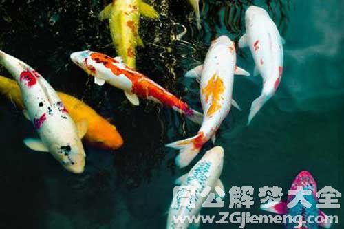 梦见掉到一条大鱼