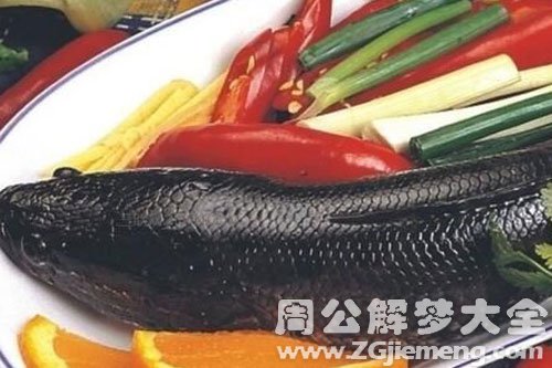 吃黑鱼