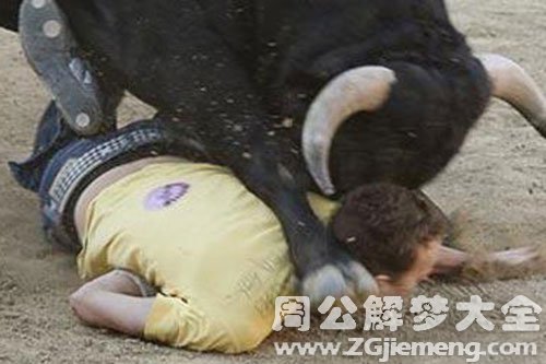 牛