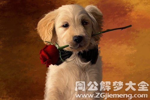 摔死狗