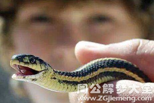 蛇洞