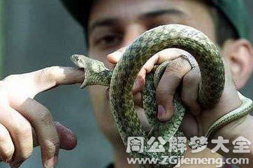 杀死一条大蛇