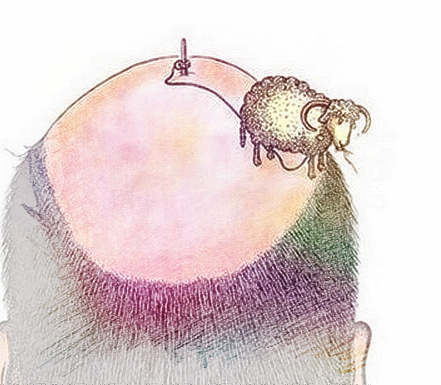 梦见变成秃顶