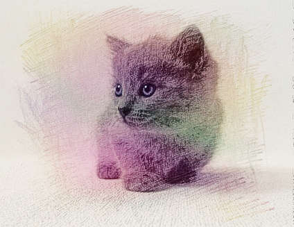梦见灰猫