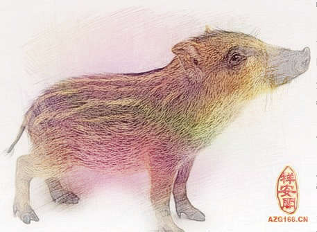 梦见小野猪