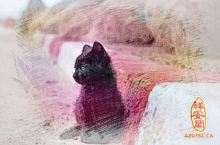 梦见小黑猫