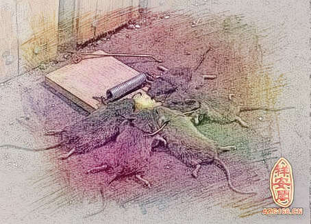 梦见杀死老鼠