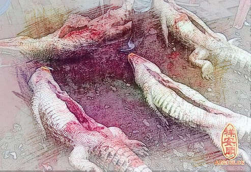 梦见杀鳄鱼
