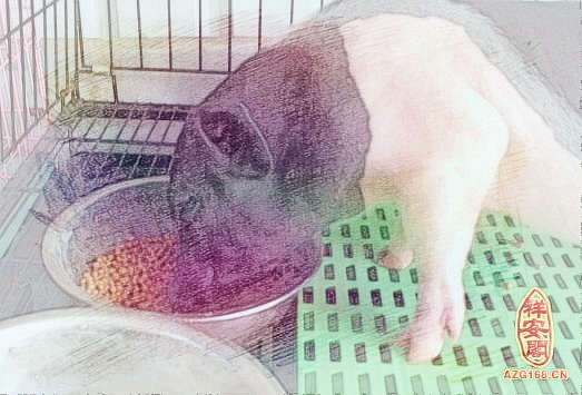 梦见猪吃东西