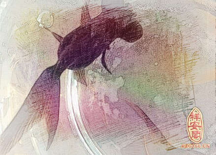 梦见很多黑鱼