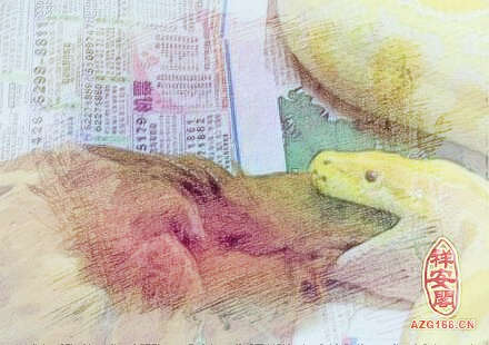梦见蛇吃鸡