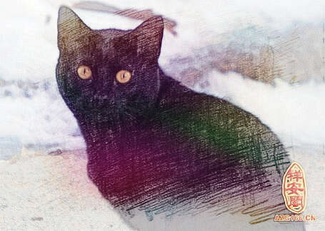 梦见黑色的猫