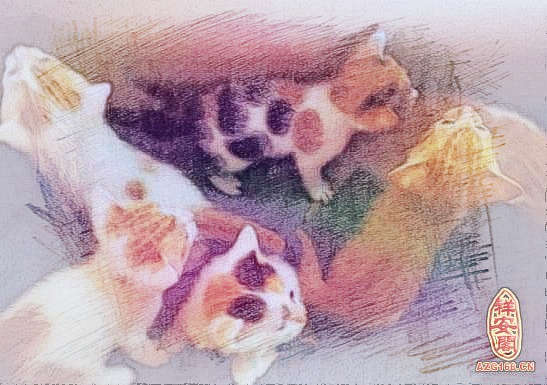 梦见猫产子