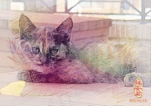 梦见猫逃跑