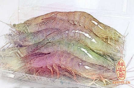 梦见活虾