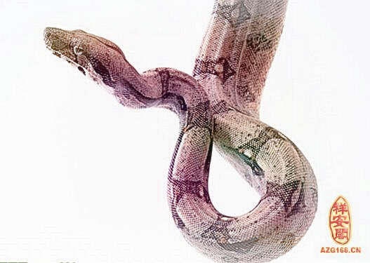 梦见黄色大蛇