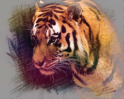  梦见蛇老虎