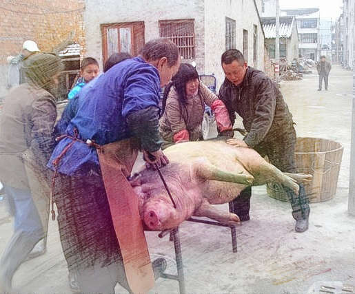 梦见杀猪意思