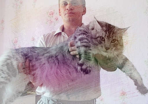 梦见小猫咬人