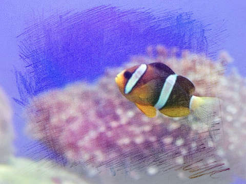 虫子吃鱼