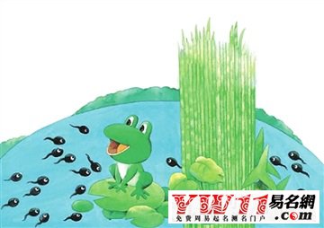 梦见蝌蚪