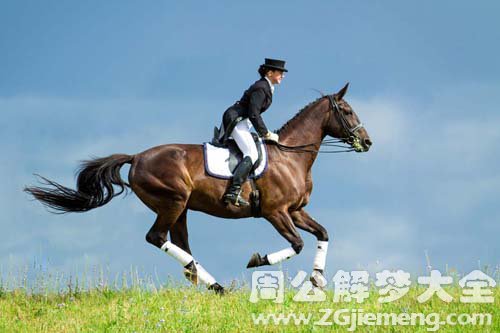 骑手